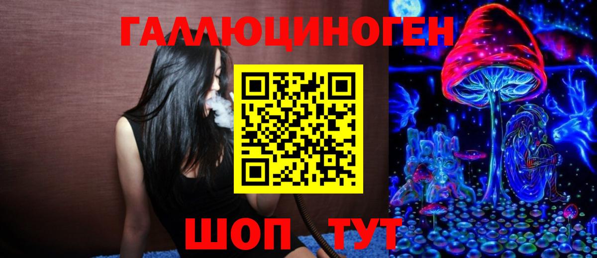 Псилоцибиновые грибы прущие грибы  Вход с VPN  Дубна  Псилоцибиновые грибы Psilocybine cubensis 